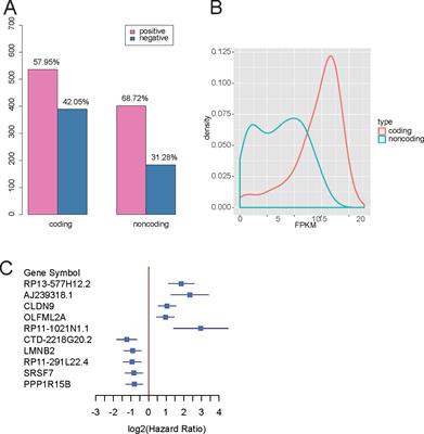 Identification of the Prognosis-Related lncRNAs and Genes in Gastric Cancer